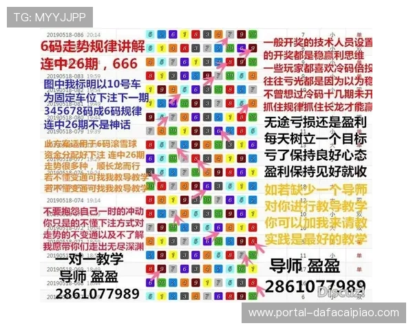 极速飞艇投注技巧全解析，掌握技巧轻松提高中奖概率